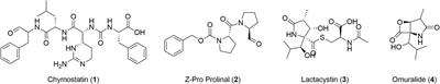 Discovery of Leishmania Druggable Serine Proteases by Activity-Based Protein Profiling